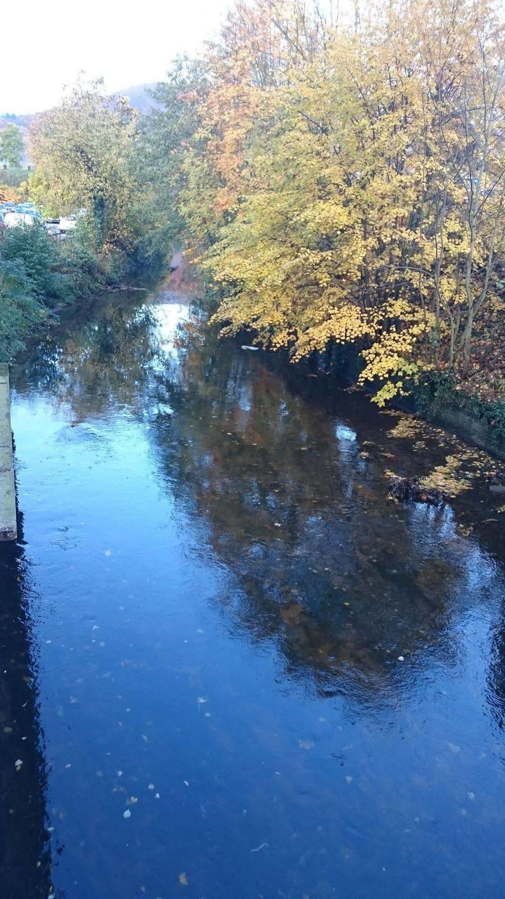 Les Cottages De France Saverne Zewnętrze zdjęcie